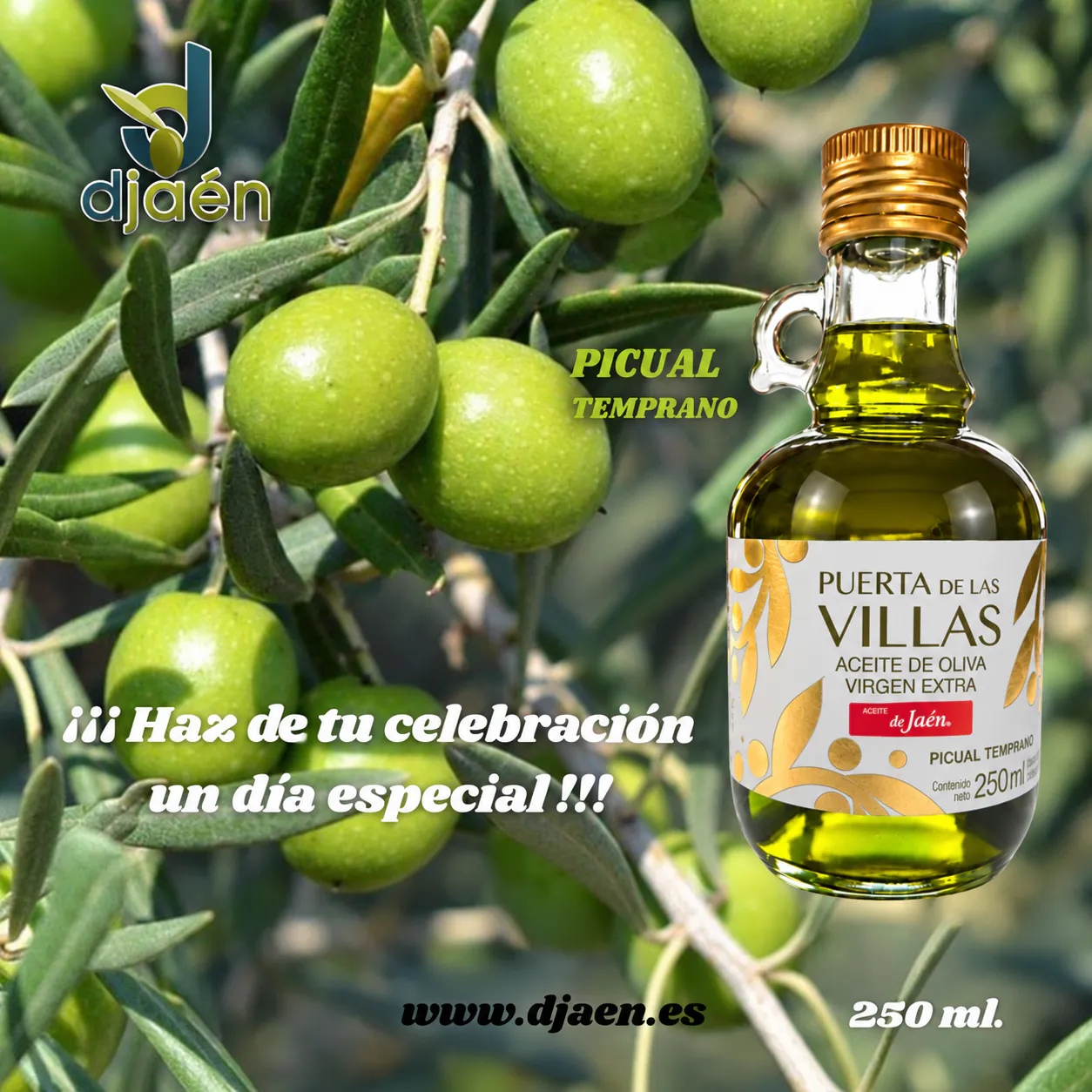 Jarra Picual Temprano. Virgen Extra. 250 ml. Caja de 16 Unds. - Imagen 2